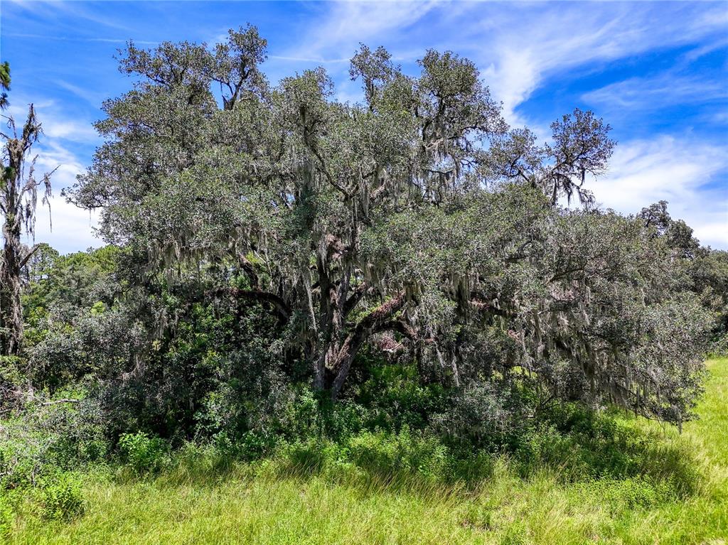 20089 Ayers Road Brooksville, FL 34604 - Photo 39 of 41