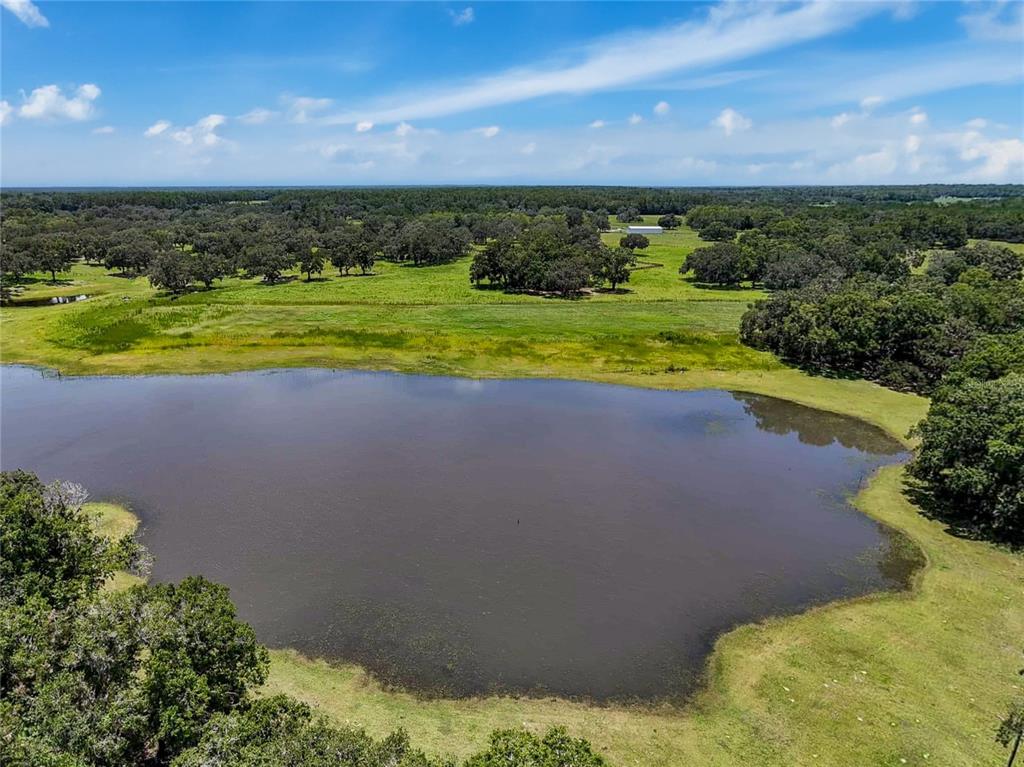 20089 Ayers Road Brooksville, FL 34604 - Photo 9 of 41