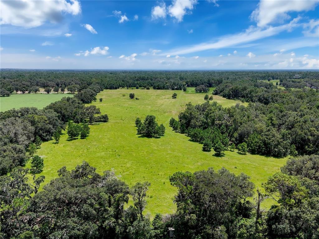 20089 Ayers Road Brooksville, FL 34604 - Photo 10 of 41