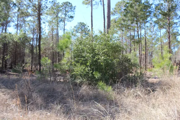a view of backyard with green space