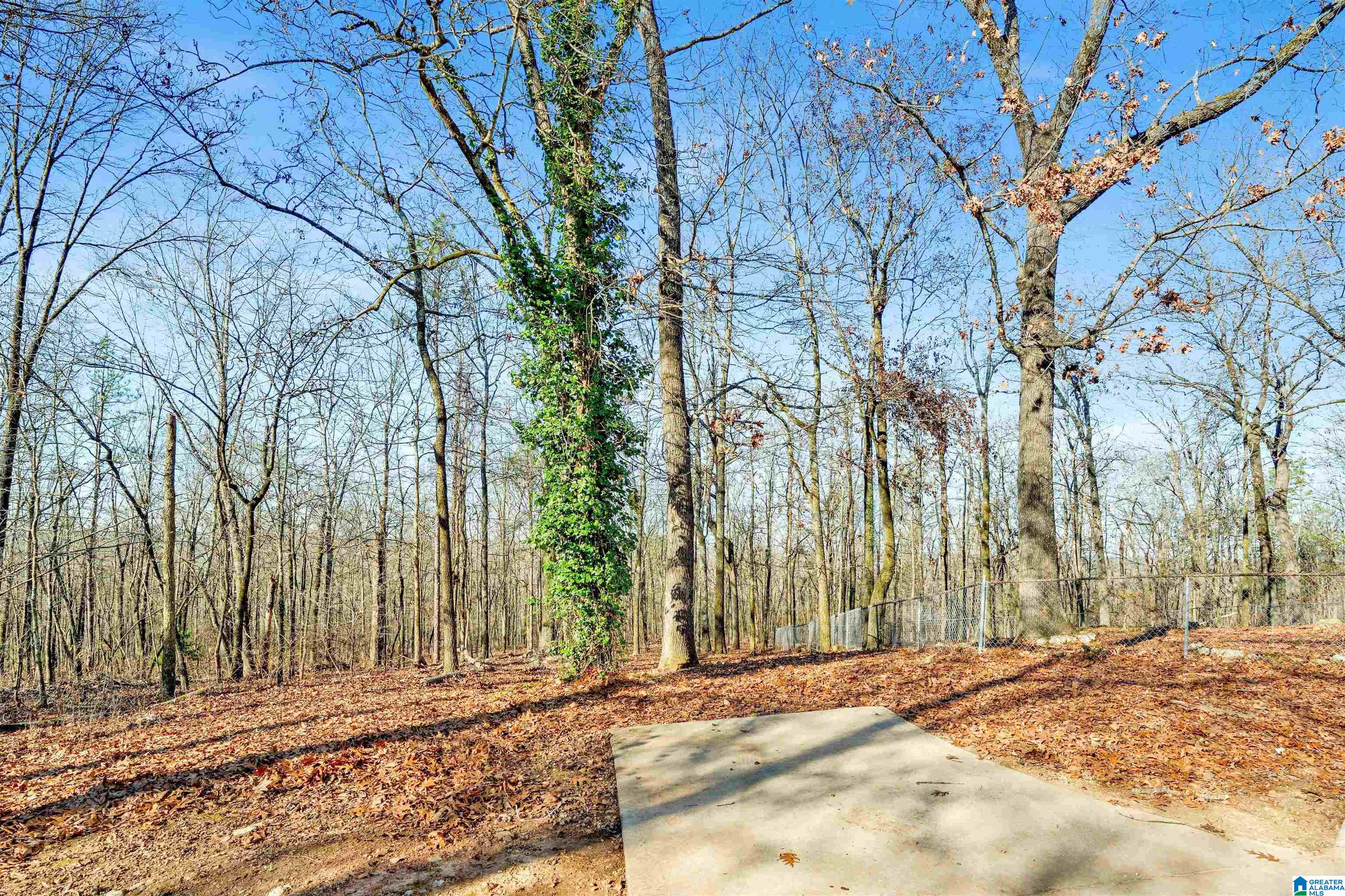 150 Chestnut Drive Alabaster, AL 35007 - Photo 55 of 61
