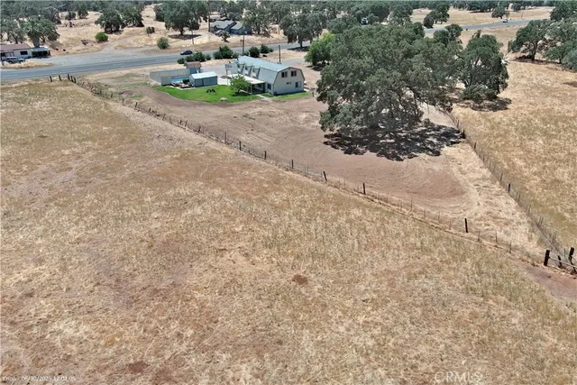 a view of a yard with yellow plants
