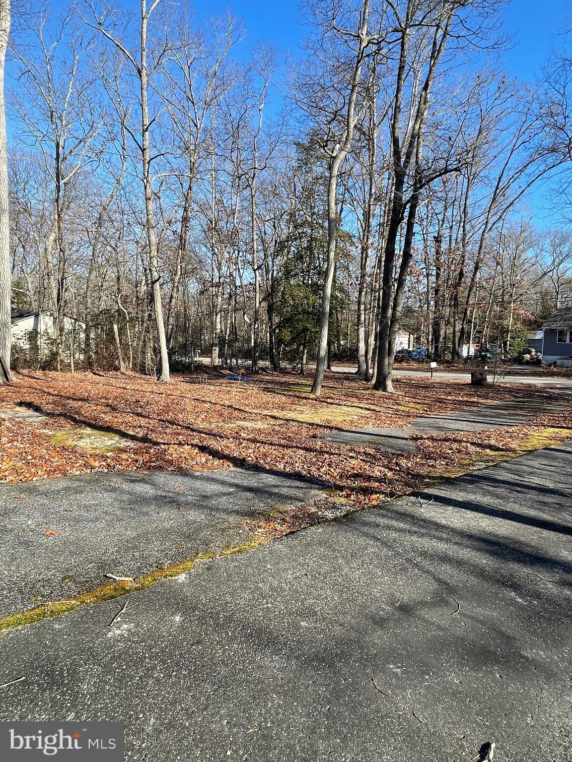 320 Olive Road Millville, NJ 08332 - Photo 5 of 29