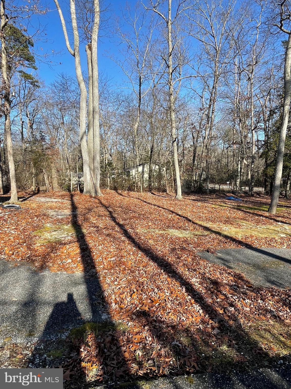 320 Olive Road Millville, NJ 08332 - Photo 8 of 29