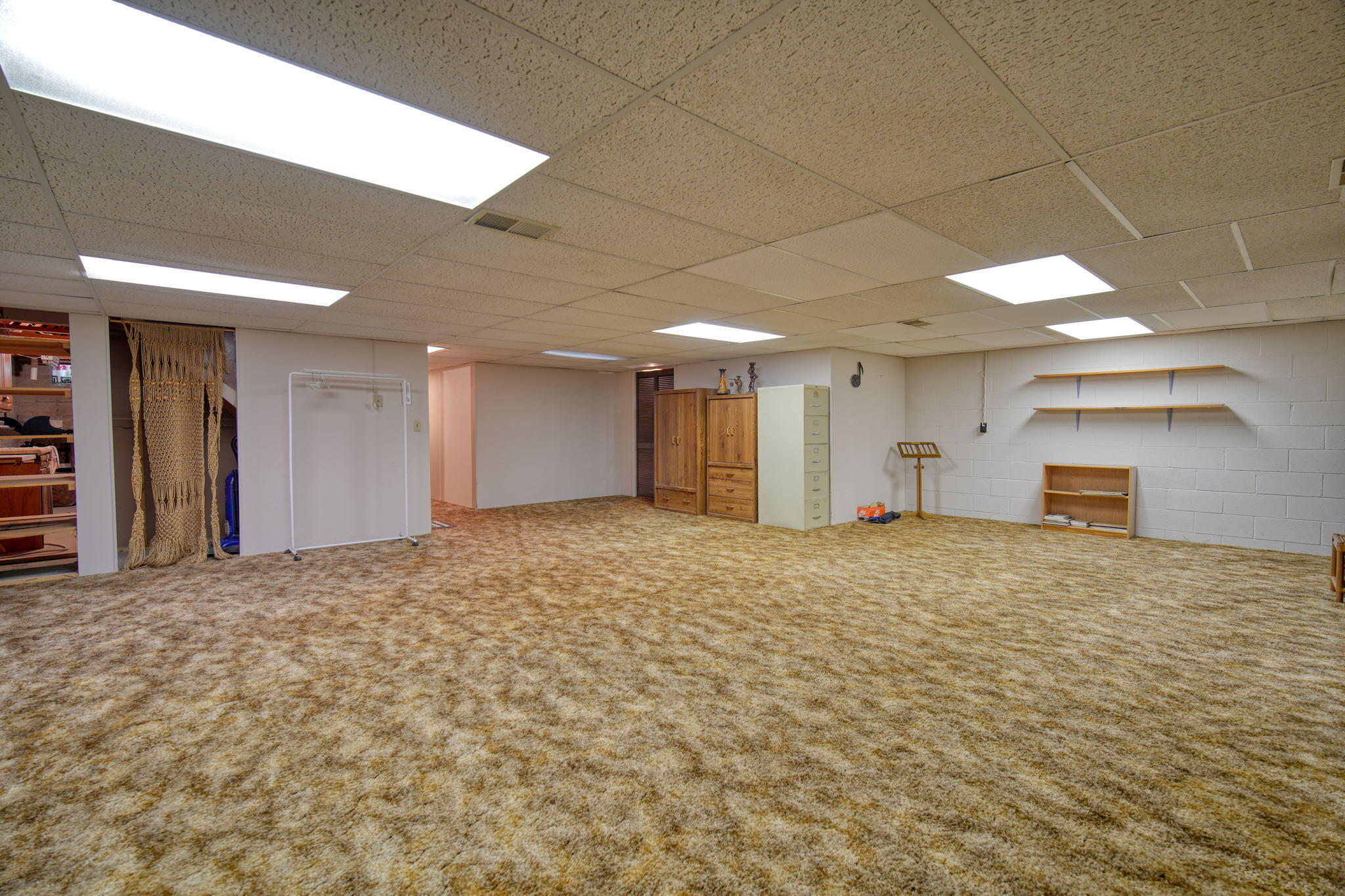 3517 Audrey Street Spring Arbor, MI 49283 - Photo 37 of 43 DSC00999