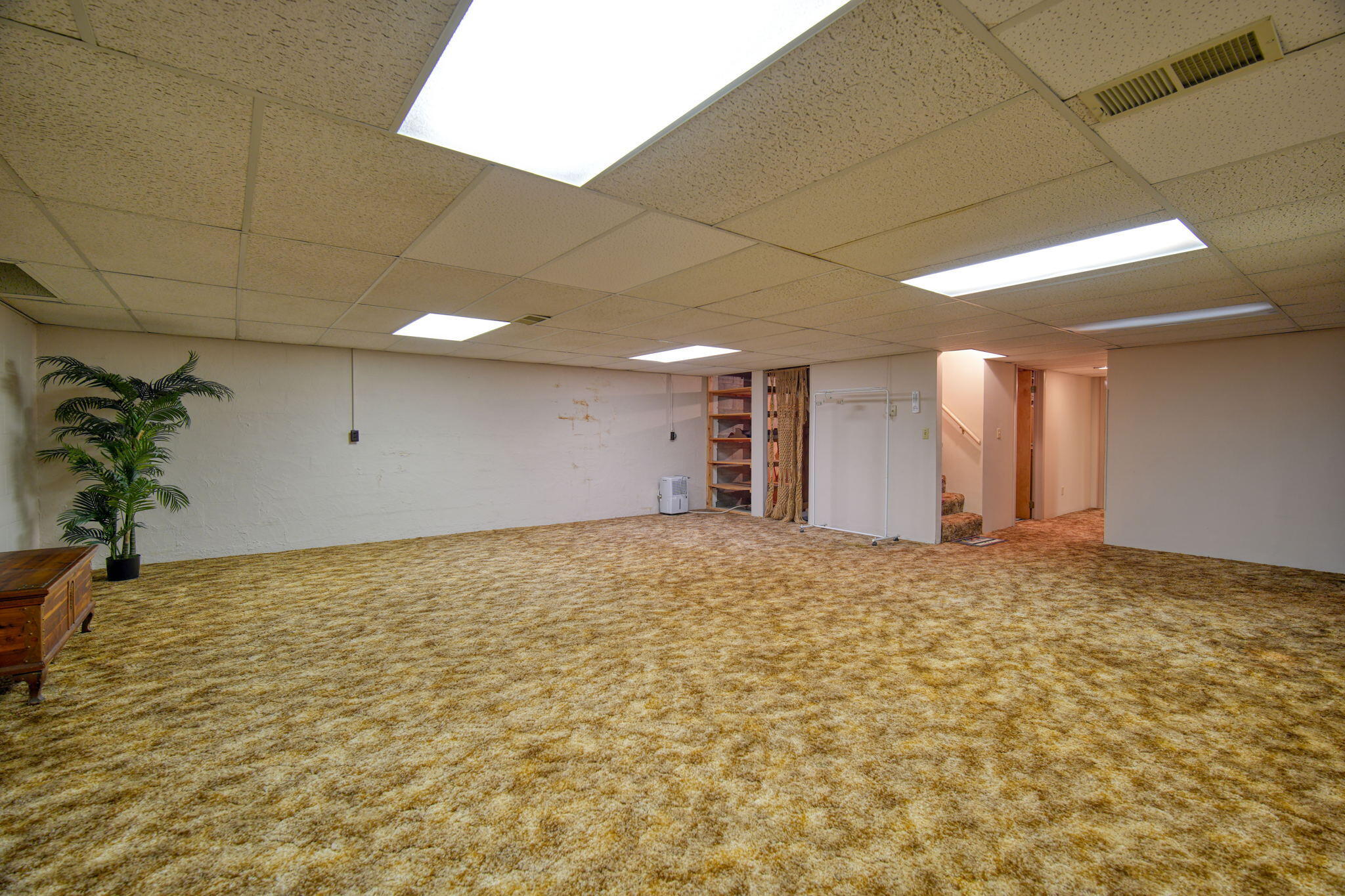 3517 Audrey Street Spring Arbor, MI 49283 - Photo 38 of 43 DSC01009