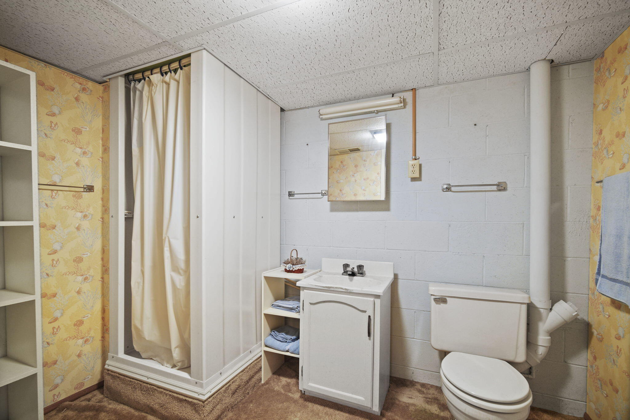 3517 Audrey Street Spring Arbor, MI 49283 - Photo 41 of 43 DSC01026