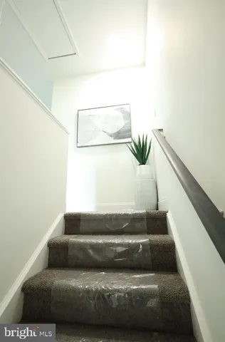 a living room with couches and a potted plant on the wall