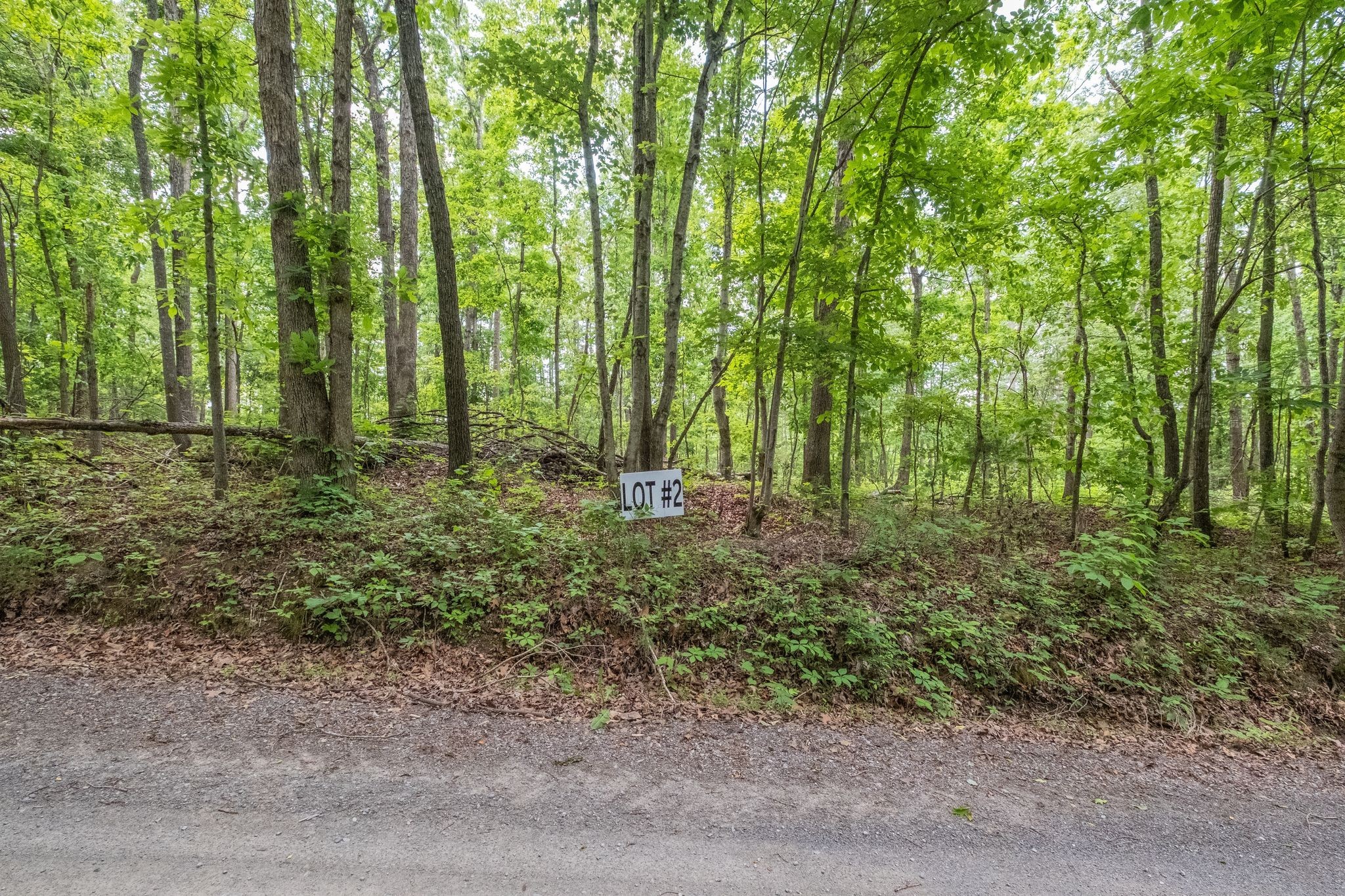 8489 Hoskins Hollow Road Westmoreland, TN 37186 - Photo 12 of 36