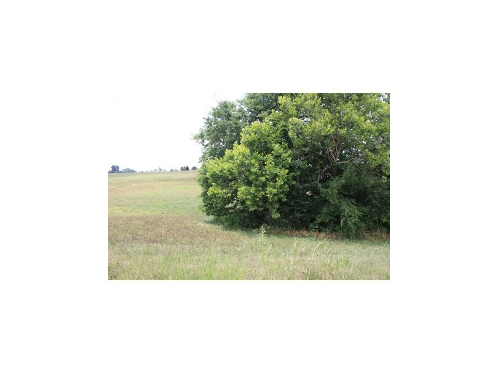 Lot 37 Barren Road, Unit 37 Chuckey, TN 37641 - Photo 1 of 1 Photo 1