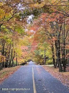 a view of outdoor space and trees