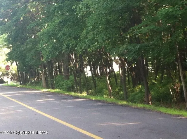 a view of a yard with tree s