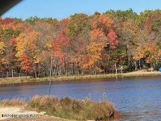 a view of a yard with trees in the background