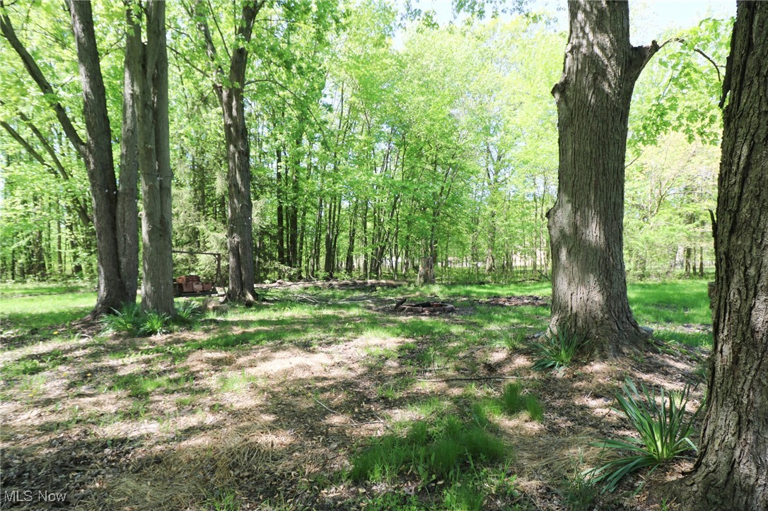 36751 Sugar Ridge Road North Ridgeville, OH 44039 - Photo 21 of 22 View of undeveloped land