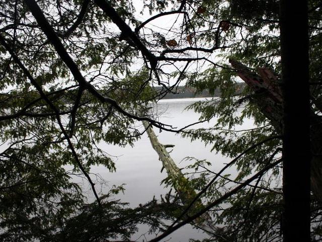 Three Eaglesham Road, Unit LOT Three Lakes, WI 54562 - Photo 6 of 9 Gallery Image 6