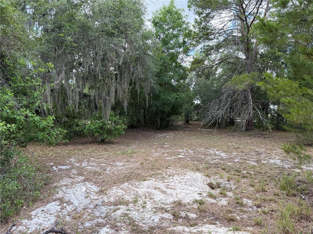8351 Wakeford Road Lake Wales, FL 33898 - Photo 22 of 26