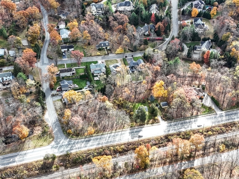 33 Whitehall Road Montville, NJ 07082 - Photo 6 of 32 a view of a yard with plants and large trees