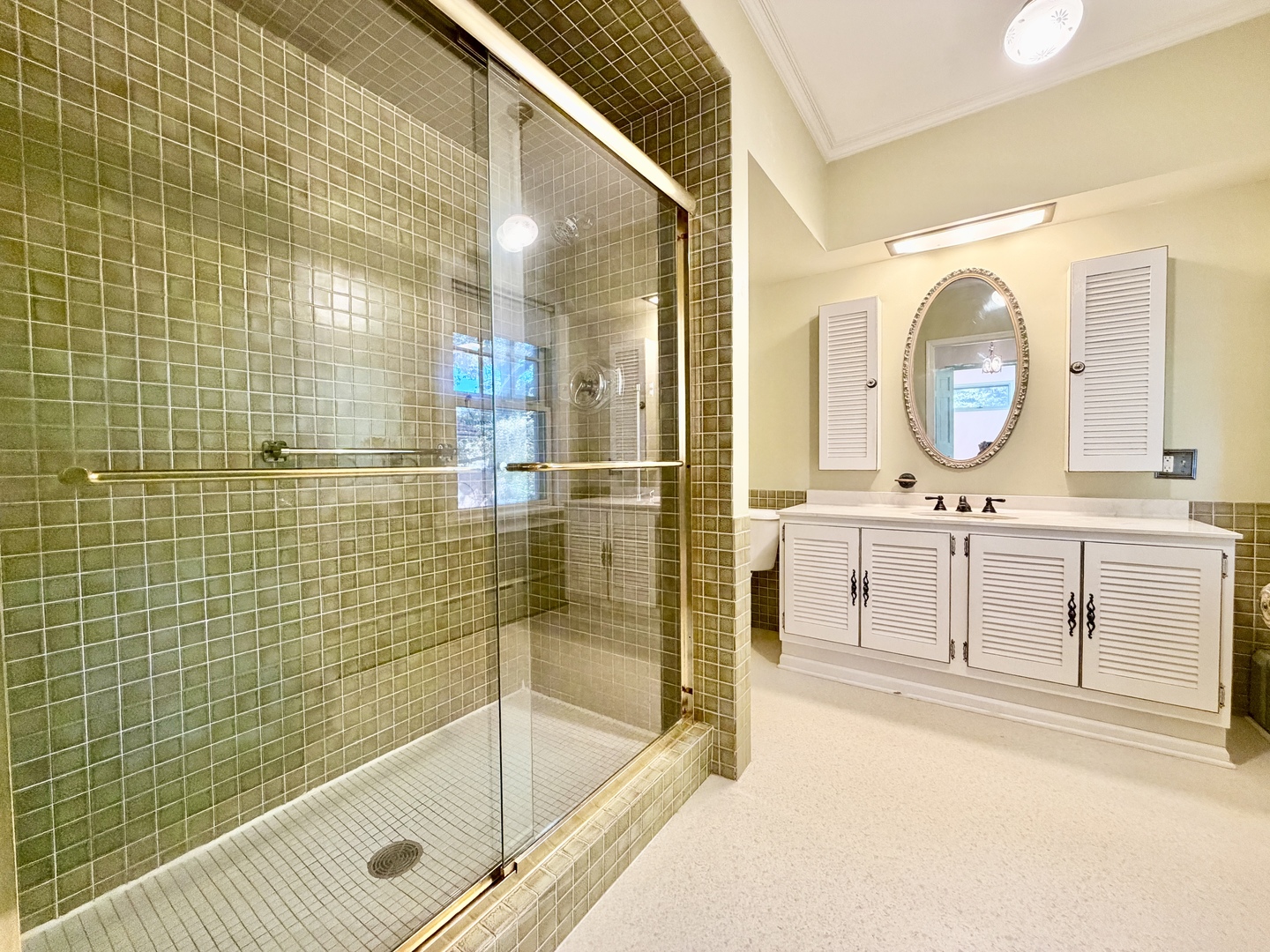 841 Douglas Avenue Elgin, IL 60120 - Photo 53 of 75 a bathroom with a sink a toilet a mirror and shower