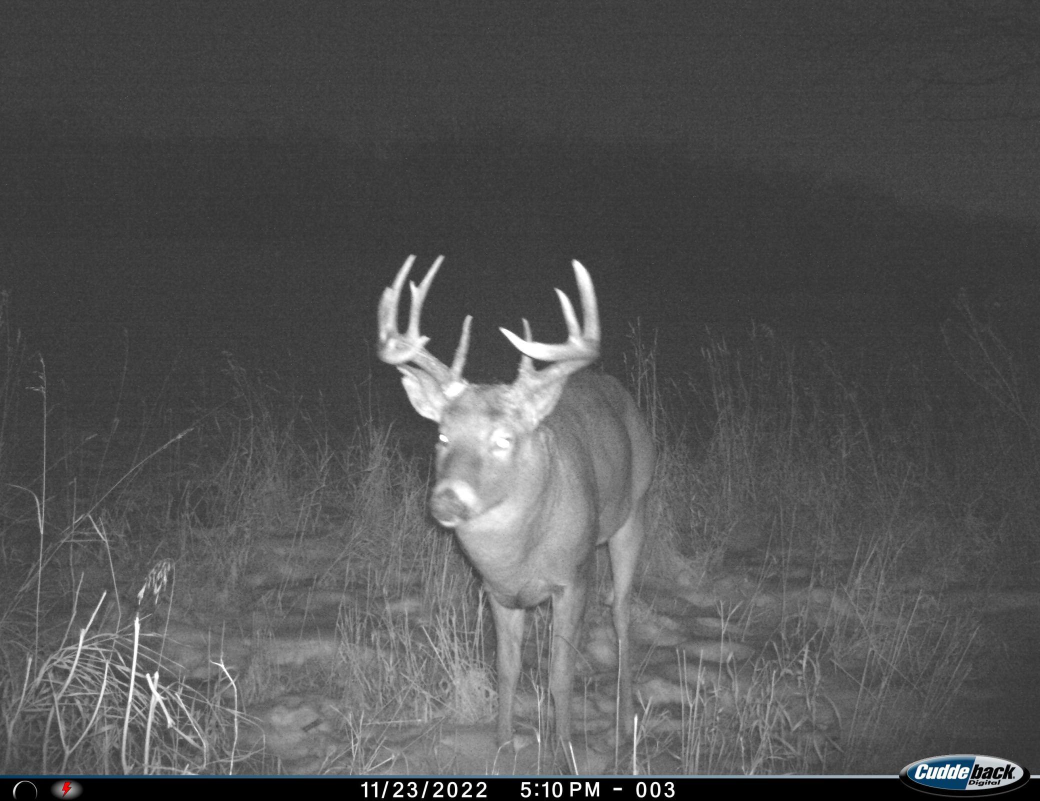 Tbd 96th Street Southwest Motley, MN 56466 - Photo 2 of 80 Gallery Image 2