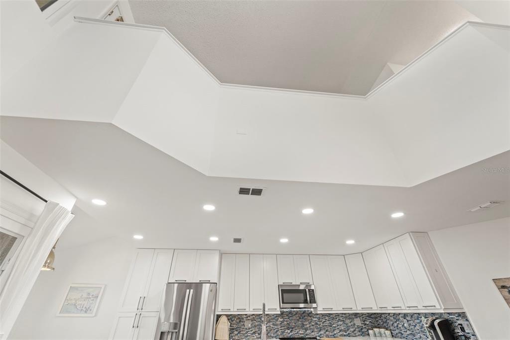 2385 Hanover Drive Dunedin, FL 34698 - Photo 36 of 87