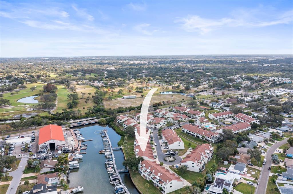 2385 Hanover Drive Dunedin, FL 34698 - Photo 75 of 87