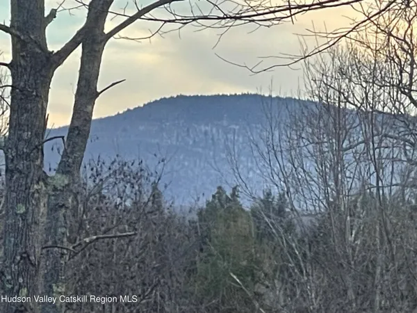 a view of a dry yard with a tree