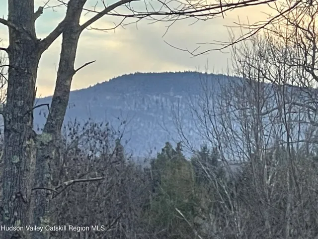 a view of a dry yard with a tree