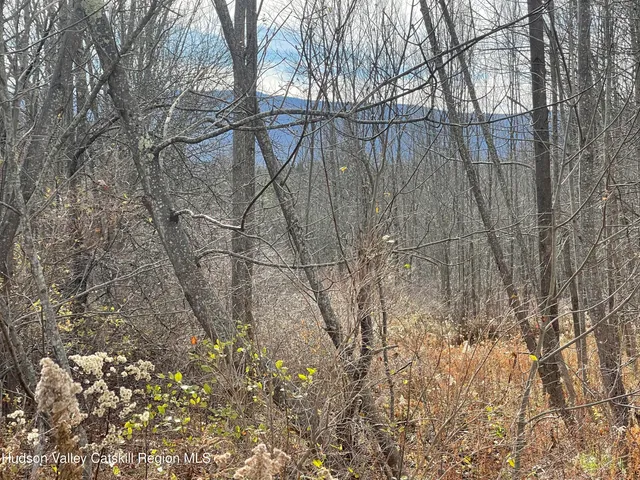 a view of a yard with trees