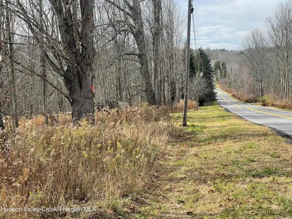 a view of a yard with trees