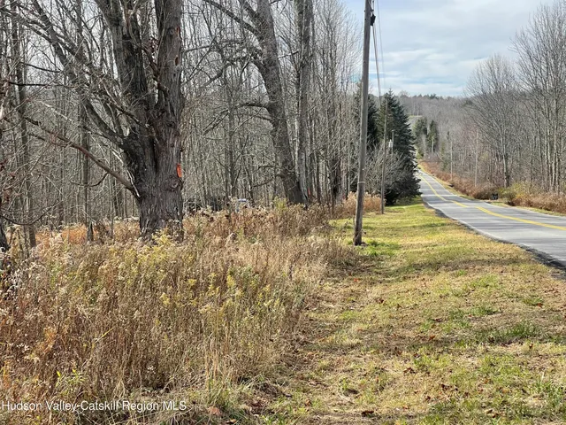 a view of a yard with trees