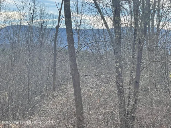 a view of swimming pool with a yard