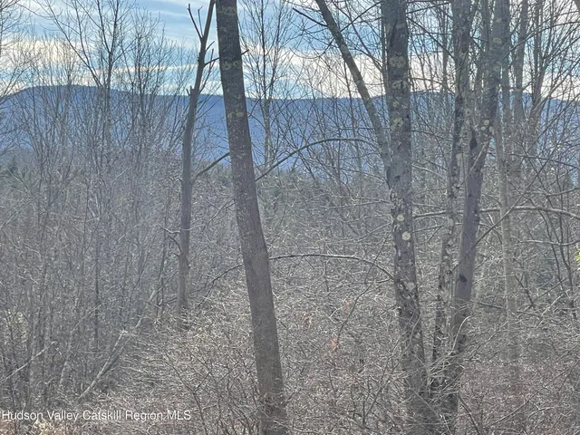 a view of swimming pool with a yard