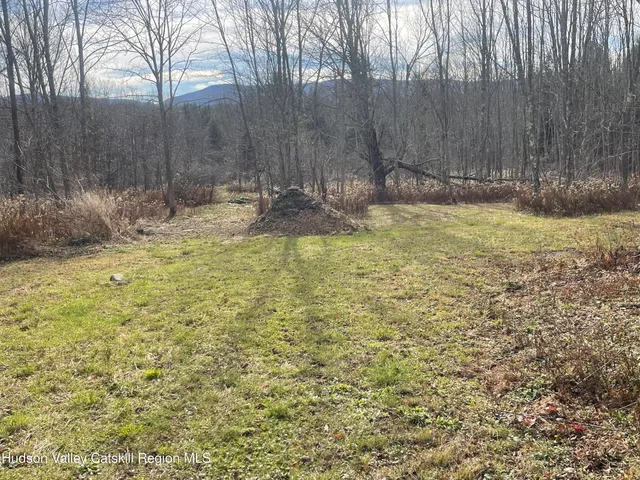a view of a dry yard with trees