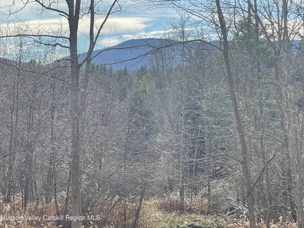 a view of a yard with trees