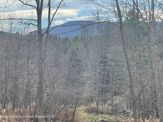 a view of a yard with trees