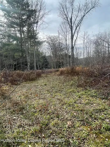 a view of a yard with a tree
