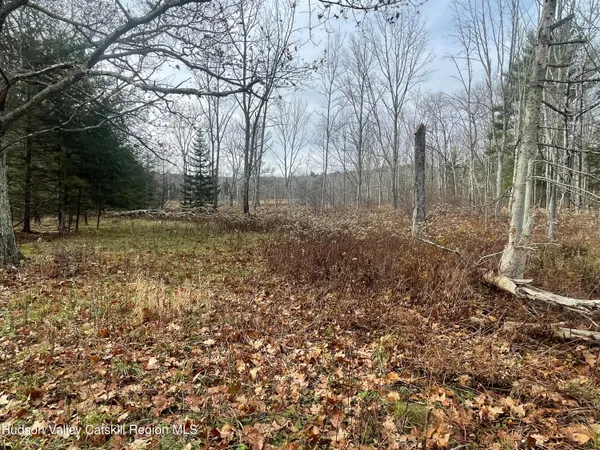 $228,000 | 309 Goshen Street, Jewett, NY 12444