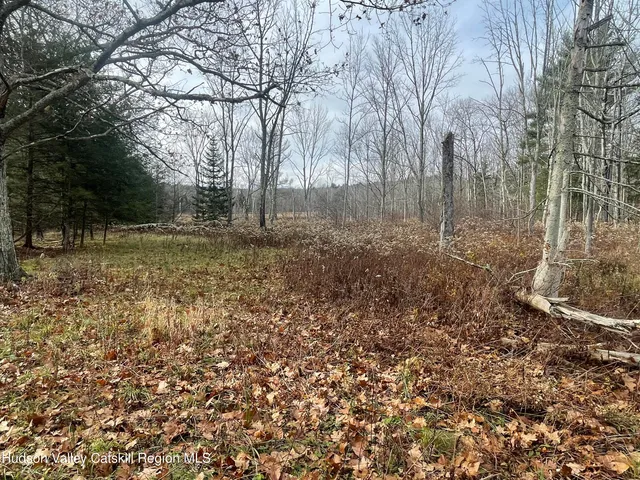 $228,000 | 309 Goshen Street, Jewett, NY 12444