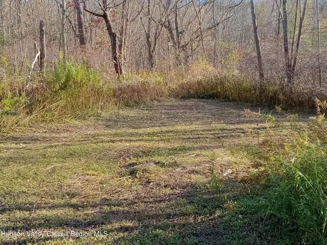 a view of a pool with a house