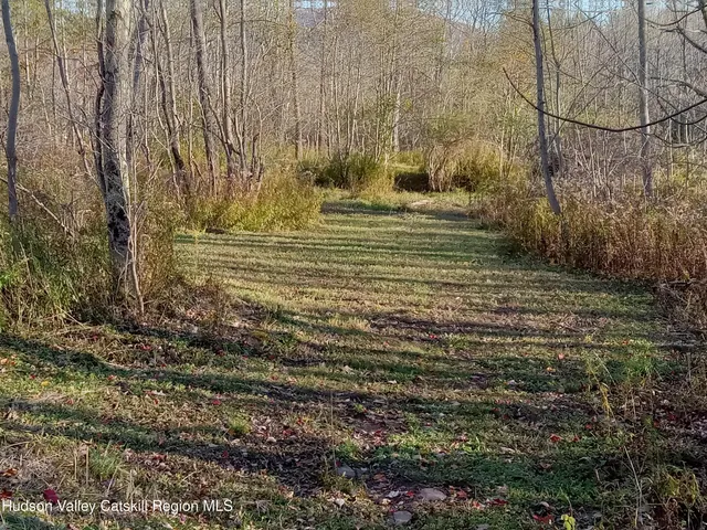 a view of a yard with large trees
