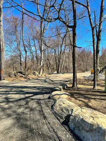 a view of road and trees