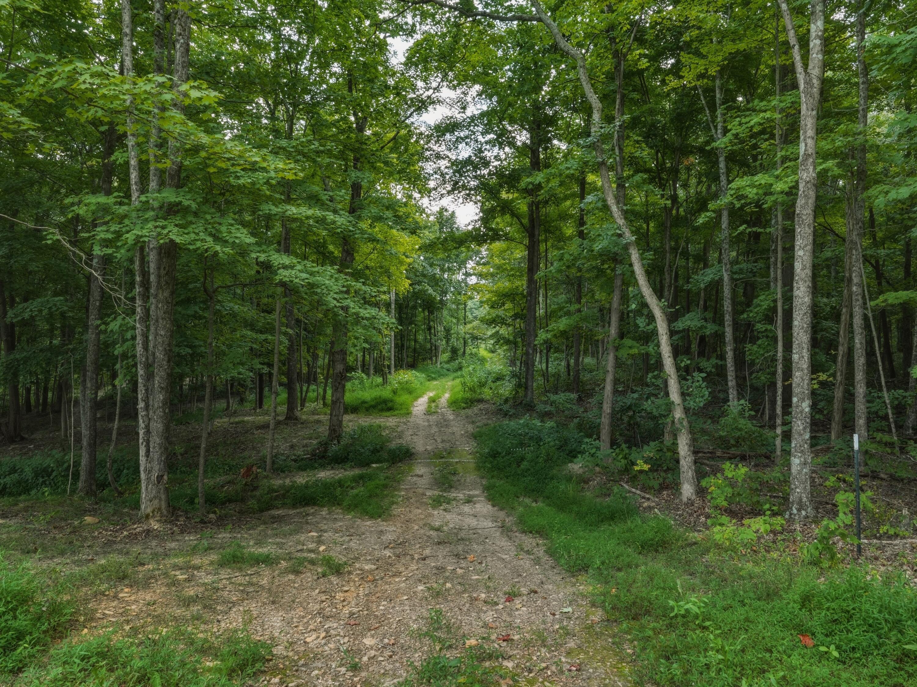 770 Strutt Road Piketon, OH 45661 - Photo 28 of 30 Trails Throughout the Property