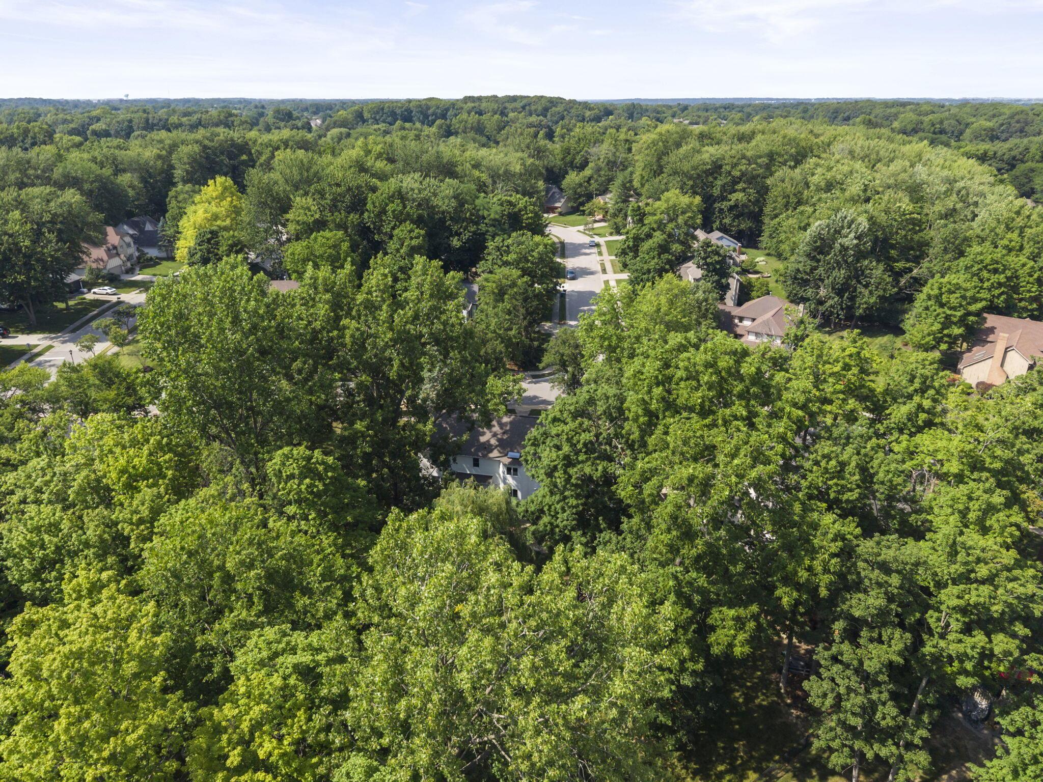 222 Beech Ridge Drive Powell, OH 43065 - Photo 76 of 82 75-web-or-mls-DJI_20260709163011_0379_D