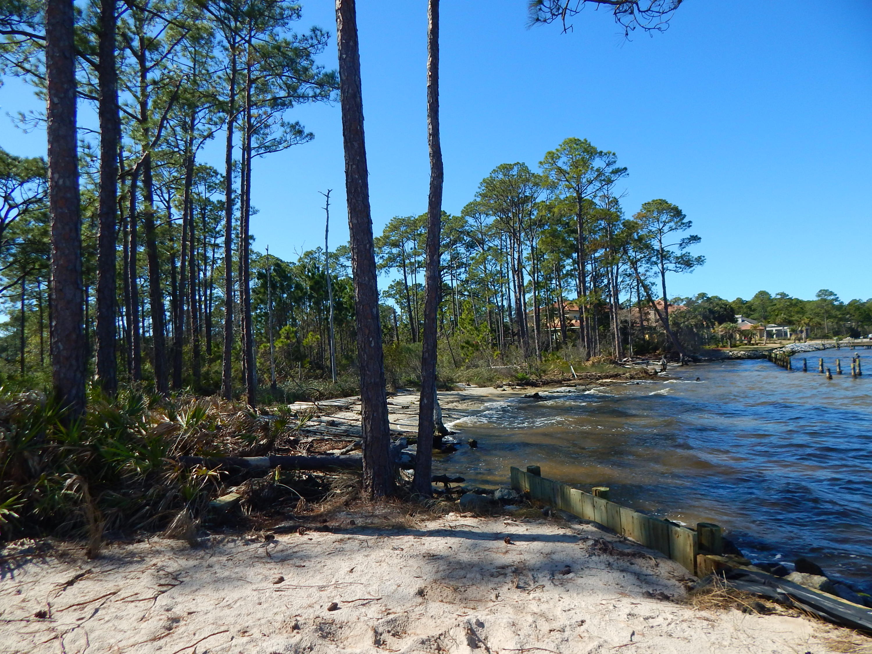 1339 Driftwood Point Road, Unit J2 Santa Rosa Beach, FL 32459 - Photo 24 of 26 a view of a backyard with plants and trees