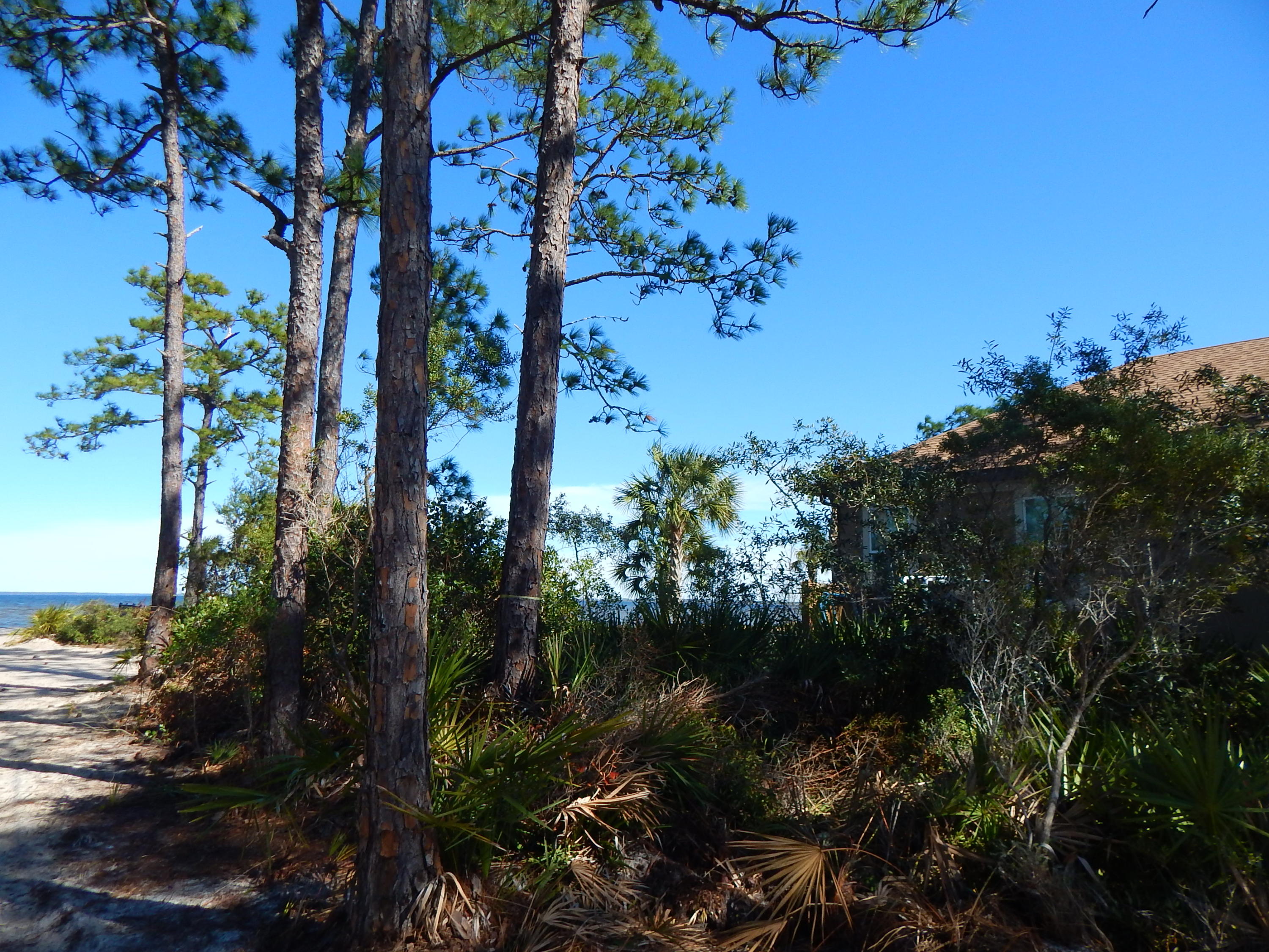 1339 Driftwood Point Road, Unit J2 Santa Rosa Beach, FL 32459 - Photo 6 of 26 a view of a house with a tree in the background