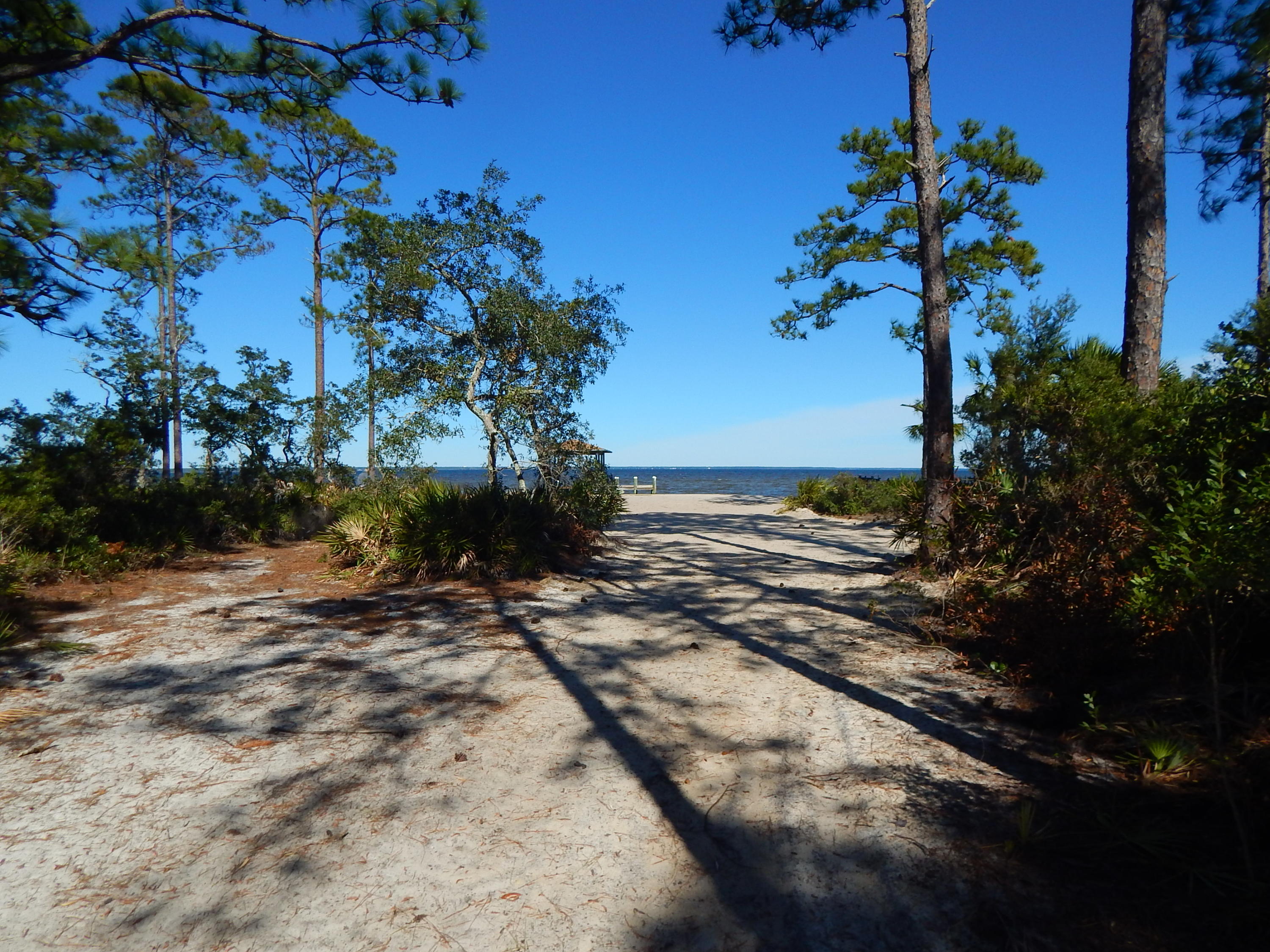 1339 Driftwood Point Road, Unit J2 Santa Rosa Beach, FL 32459 - Photo 9 of 26 a view of a yard