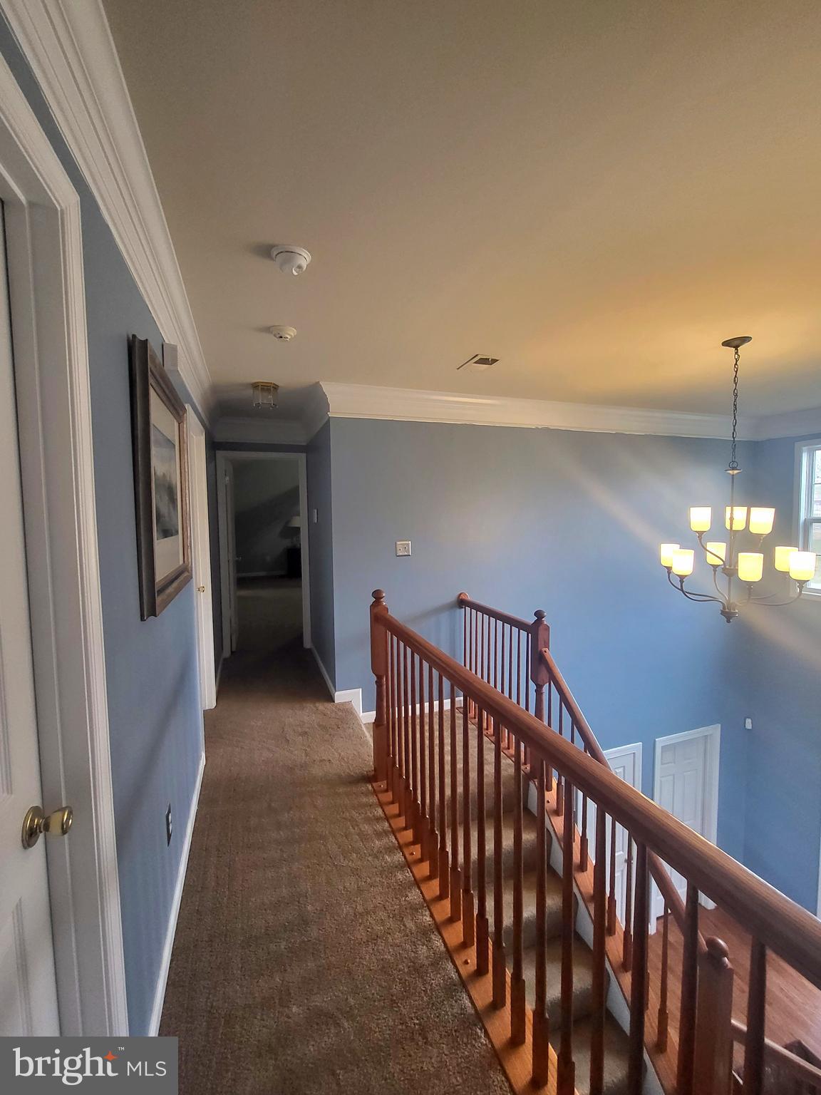 399 Rivanna Run Falling Waters, WV 25419 - Photo 46 of 62