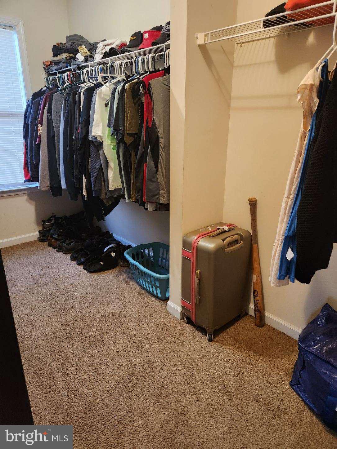 399 Rivanna Run Falling Waters, WV 25419 - Photo 49 of 62 Large Walk In Primary Closet