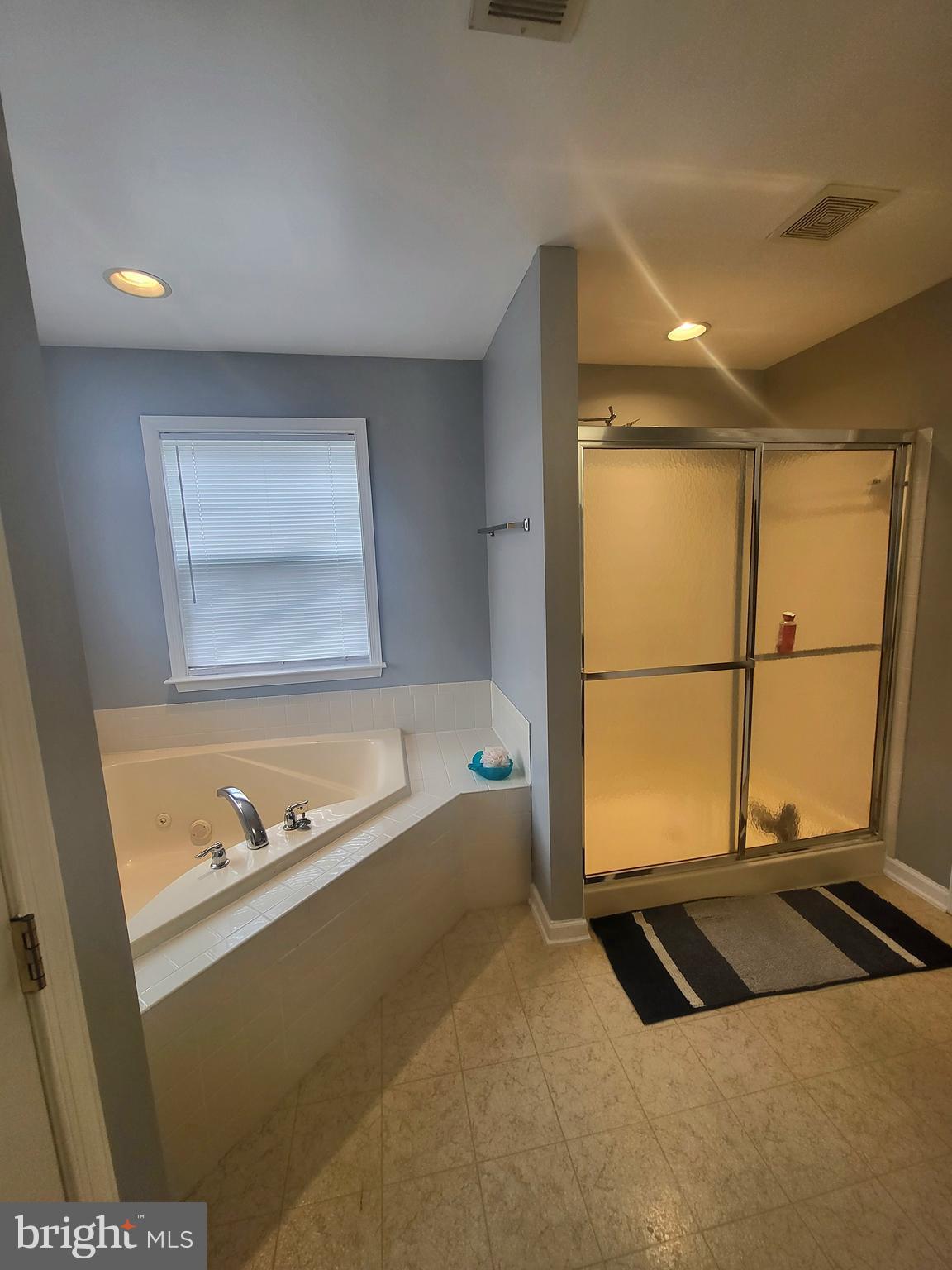 399 Rivanna Run Falling Waters, WV 25419 - Photo 50 of 62 Walk In Shower