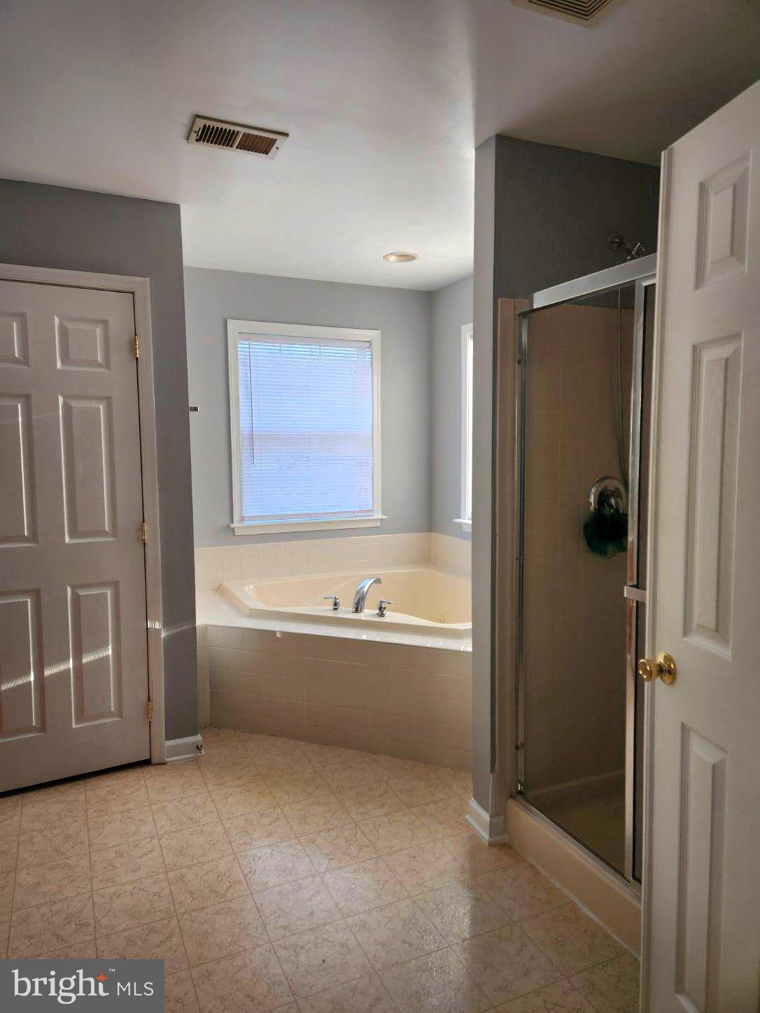 399 Rivanna Run Falling Waters, WV 25419 - Photo 54 of 62 Soak Tub!